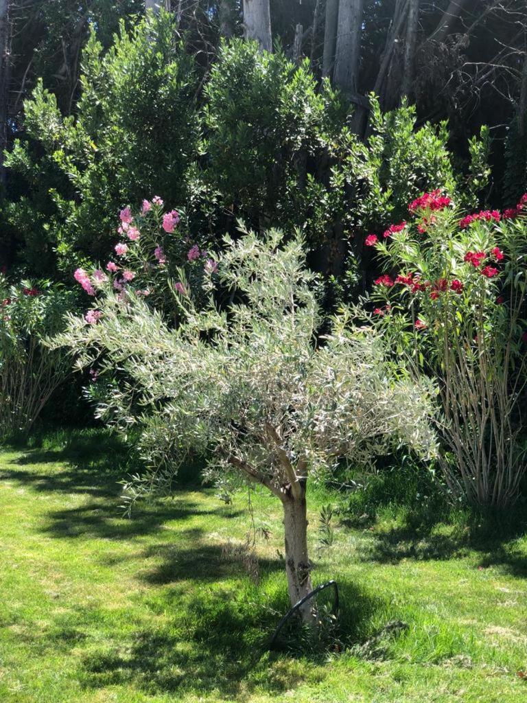 Villa Pauline Avignon Eksteriør billede